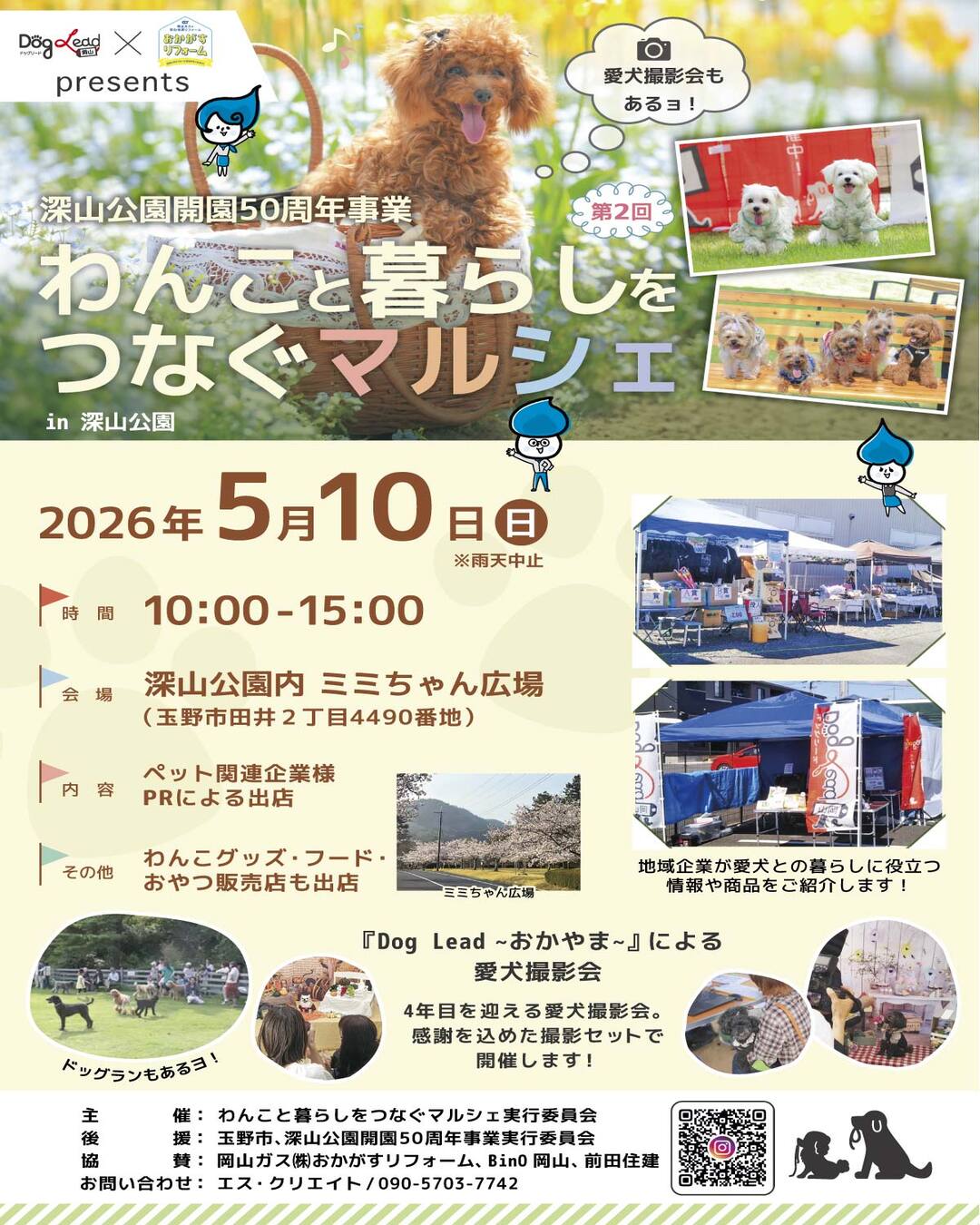 わんこと暮らしをつなぐマルシェの画像
