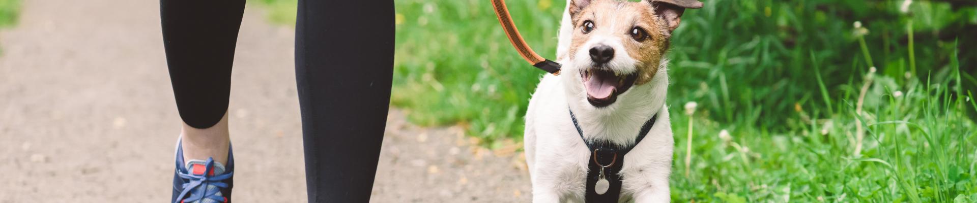 サブバナ―背景画像